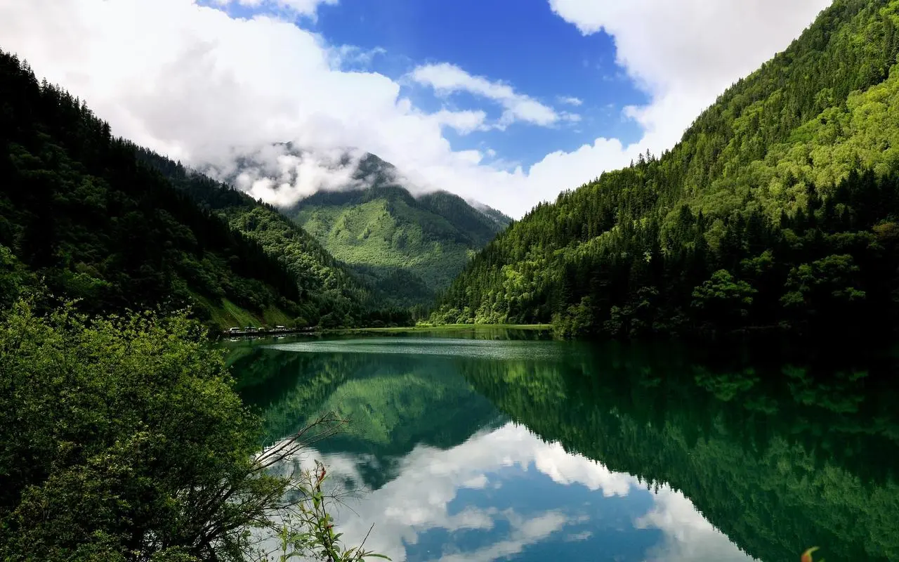 高效高效